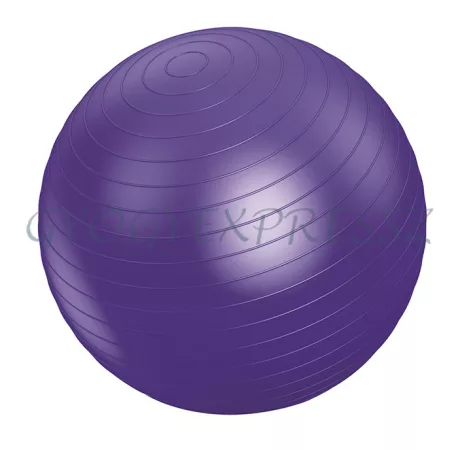 VIVAMAX Gimnasztikai labda 35 cm lila GYVGL35