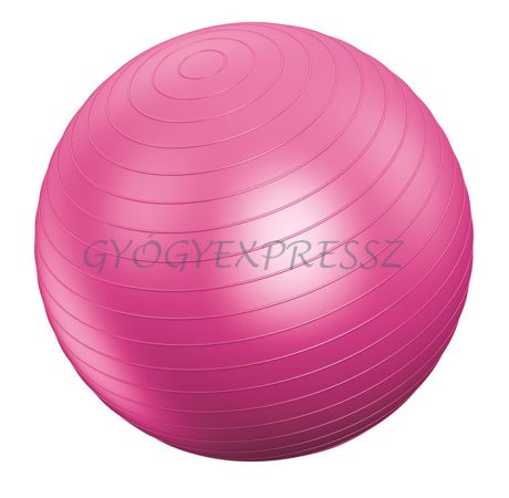 VIVAMAX Gimnasztikai labda 55 cm pink (MG 22209)
