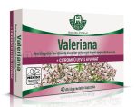   HERBÁRIA Valeriana Macskagyökér és citromfű kivonatot tartalmazó étrend-kiegészítő kapszula 40 db
